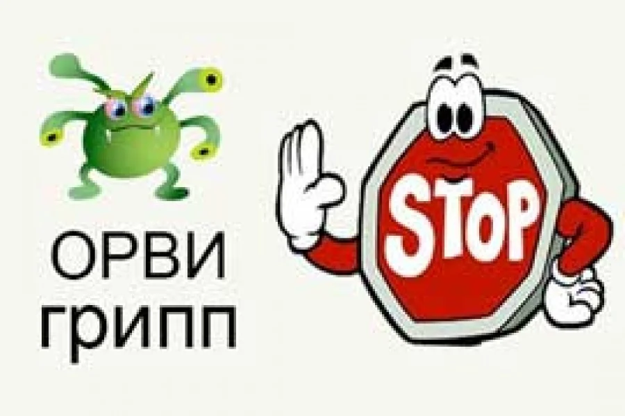 О профилактике гриппа и ОРВИ