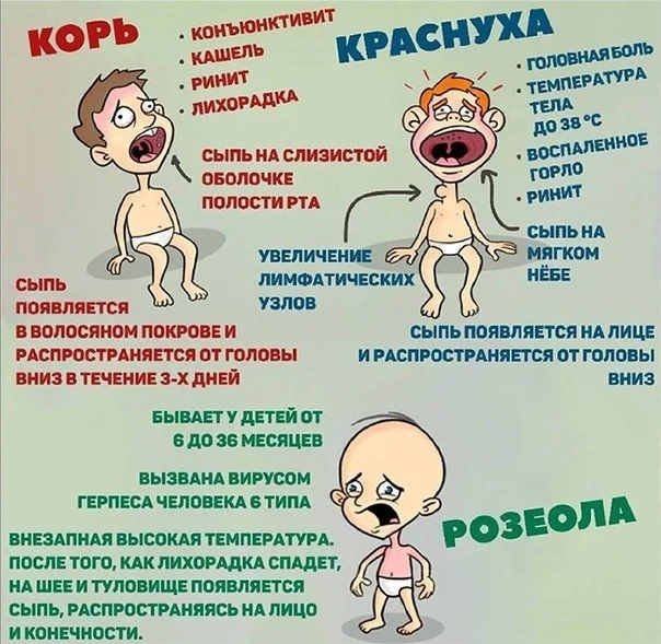 Опасные вирусы