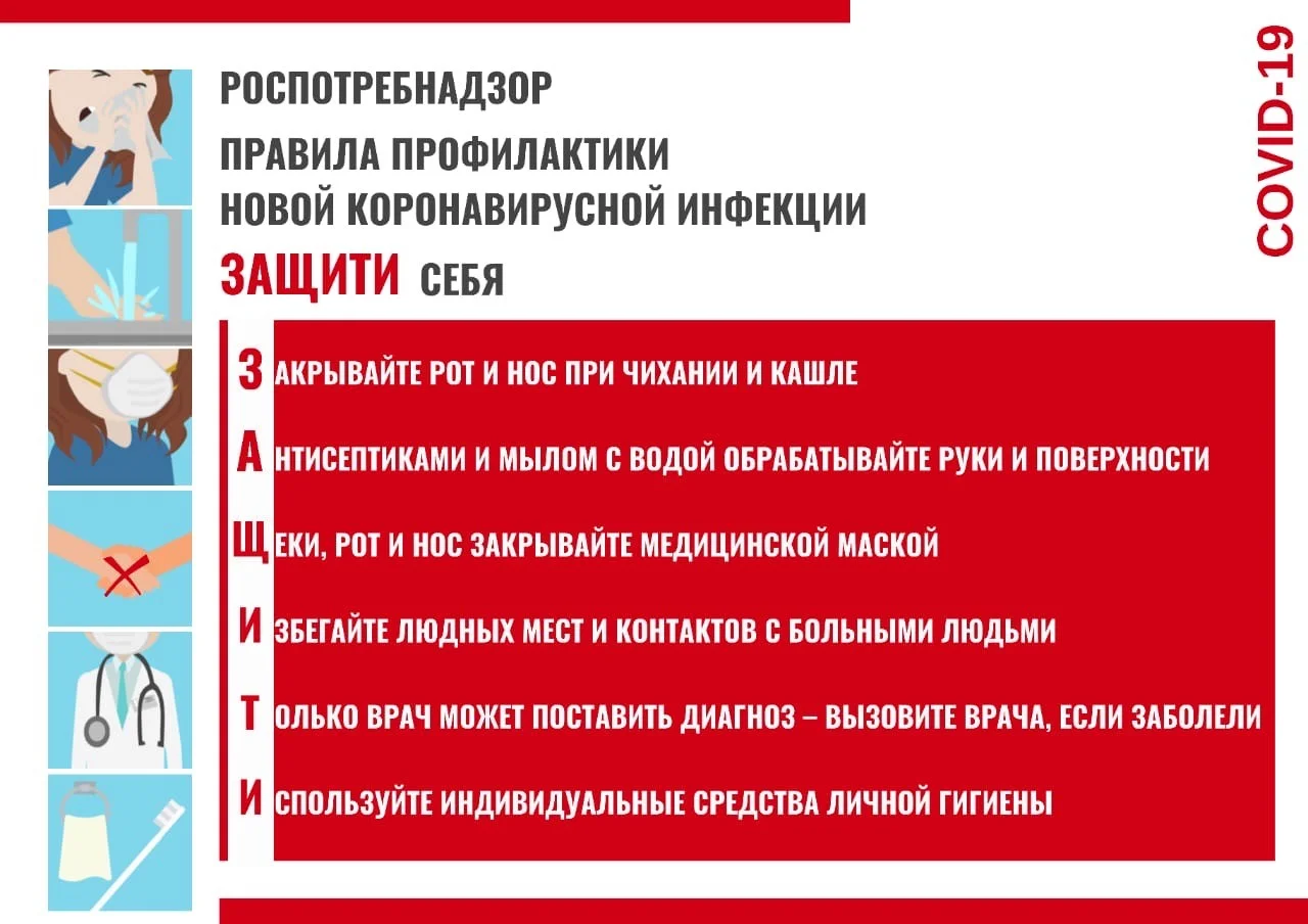 Вирусы