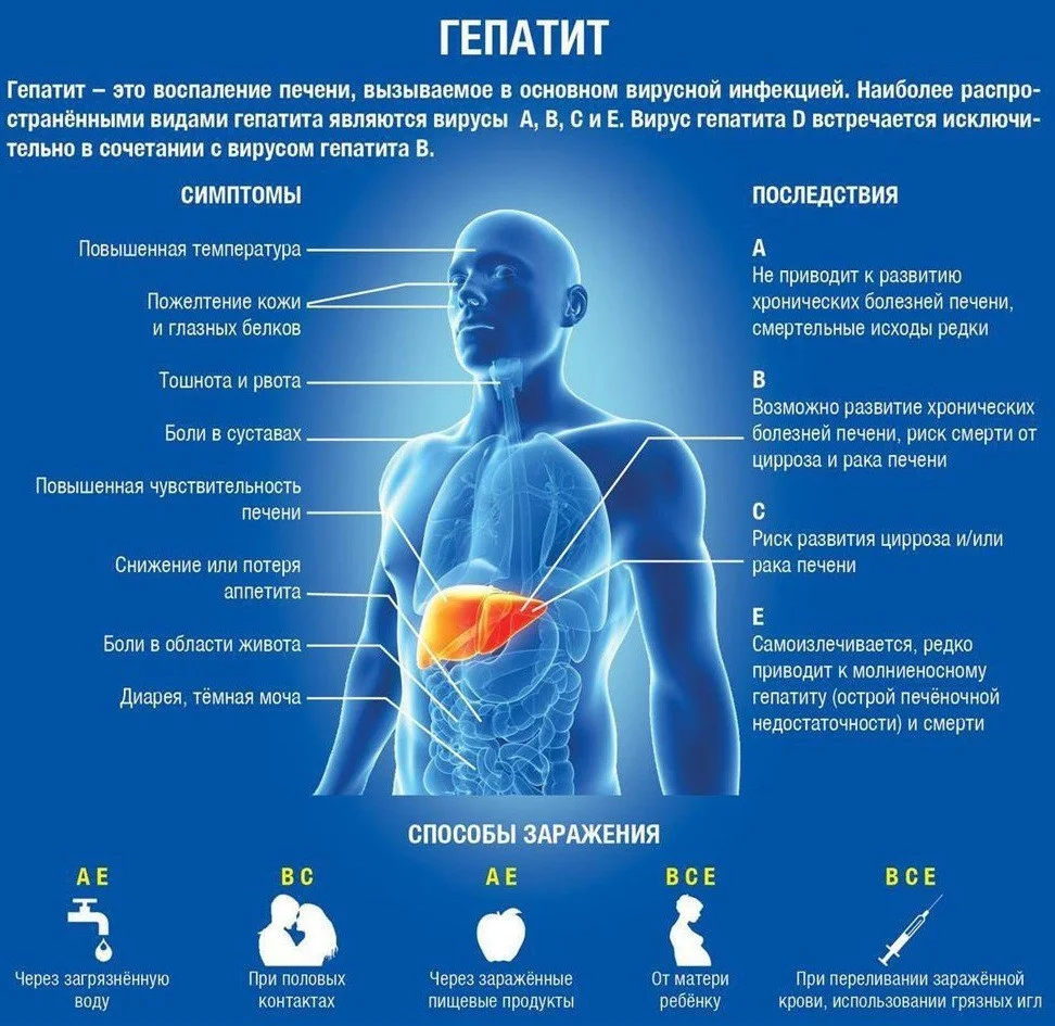 Все о гепатите 