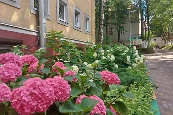 Внимание, изменились графики приема у руководителей больницы 