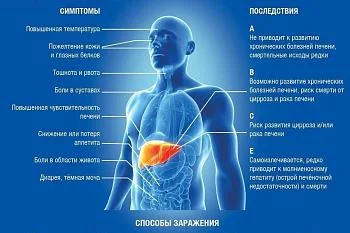 Все о гепатите 