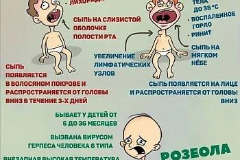 Опасные вирусы Опасные вирусы