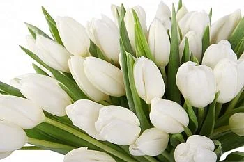 Министр здравоохранения Калининградской области поздравил коллег с праздником 8 Марта