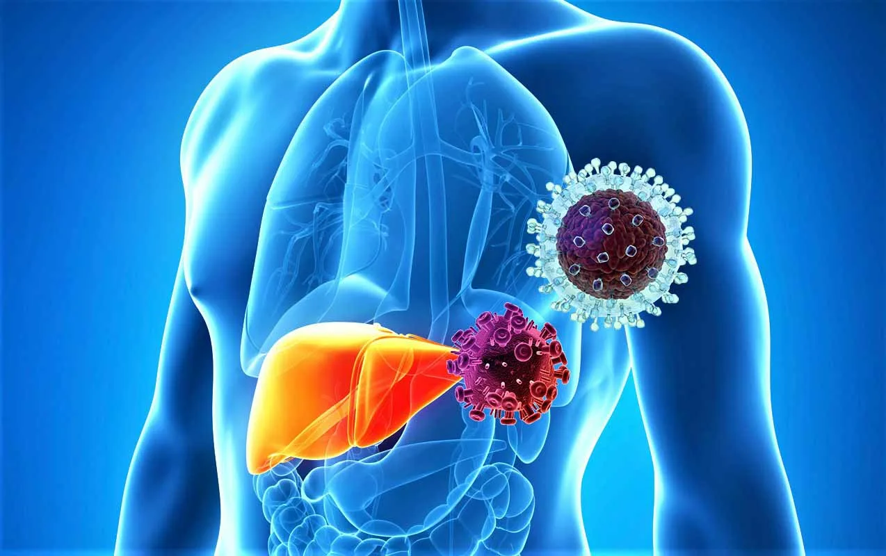 Что такое гепатит С?